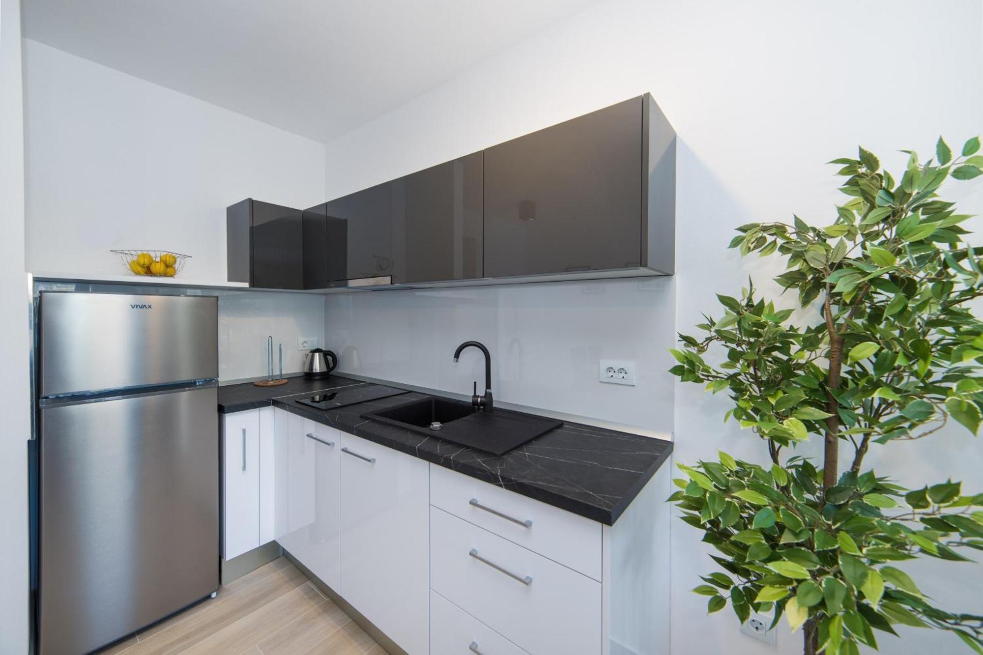 Apartment Blanka House